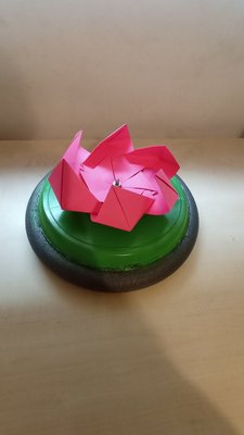Water Lily Turbine