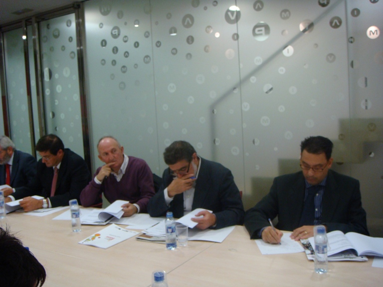 Foto Reuni�n Comit� Promotor, 3, DPECV