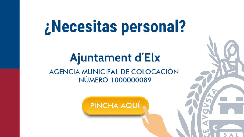 Descubre la Agencia Municipal de Colocación de Elche, un servicio para empresas para dinamizar el empleo