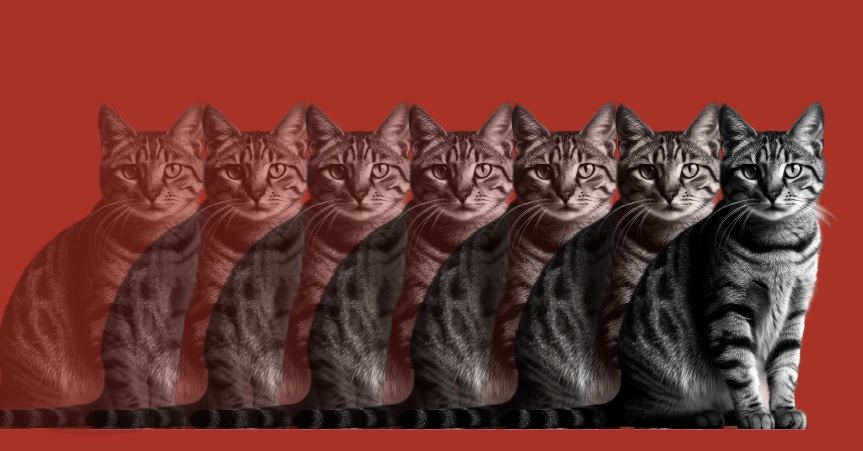 Cooperativas: crecer o morir, he ahí el dilema