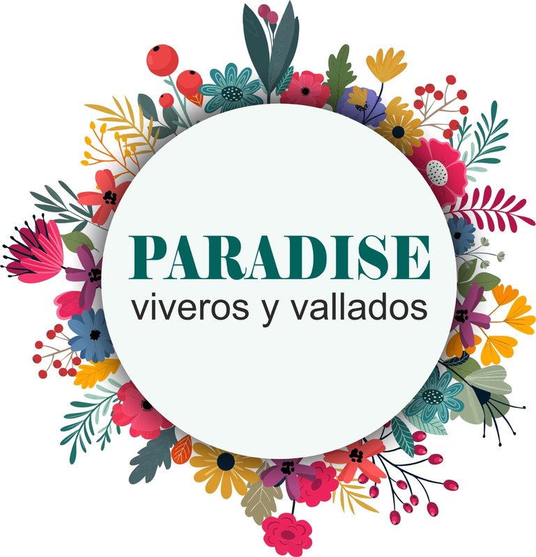Paradise Viveros impulsa la jardinería sostenible en Murcia con una nueva propuesta verde