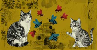 ¿Cooperamos por egoísmo o por altruismo?