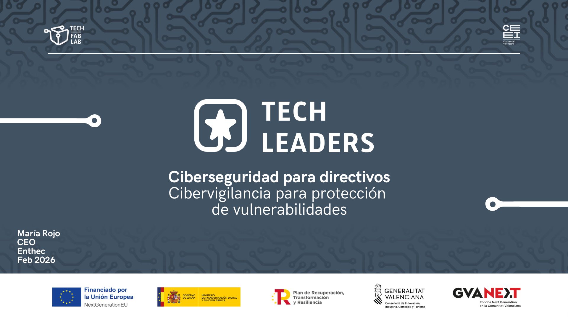 Cibervigilancia para protección de vulnerabilidades
