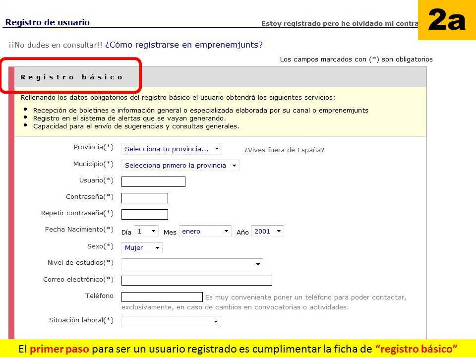 REGISTROUSUARIO2A_BASICO