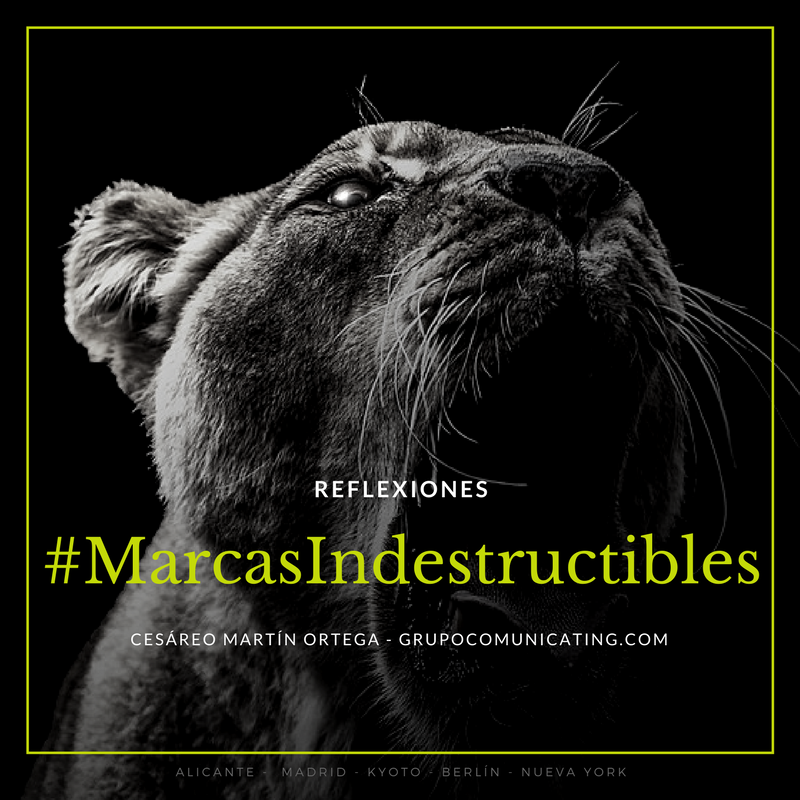 Reflexiones #MarcasIndestructibles