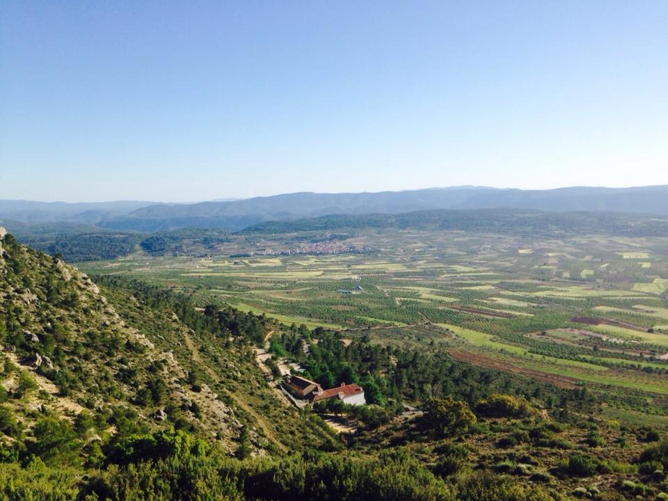 AEDL Ayuntamiento de Aras de los Olmos