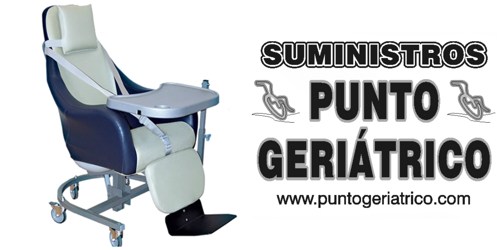 Punto Geriatrico S.L.