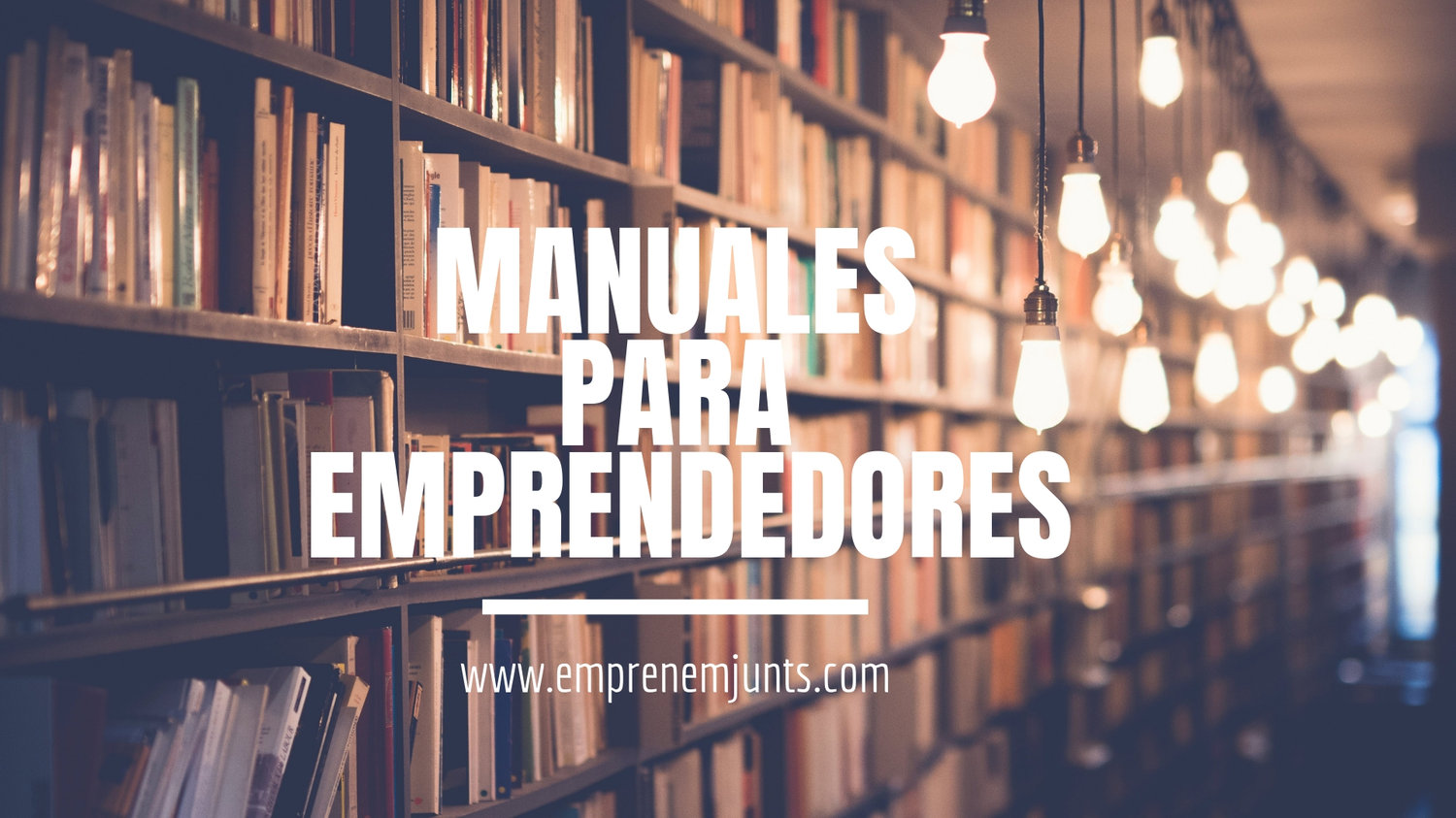 Manuales para emprendedores