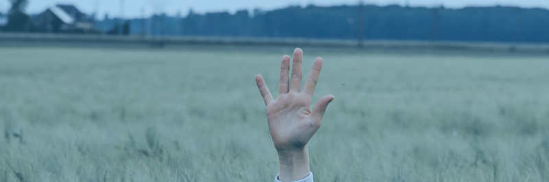 Ventajas y caracter�sticas de nuestra tarifa m�vil de 5Gb