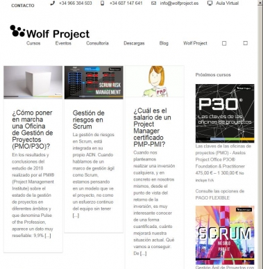 PMP, RISK, Primavera - El Blog de Angel N�jera - Wolf Project