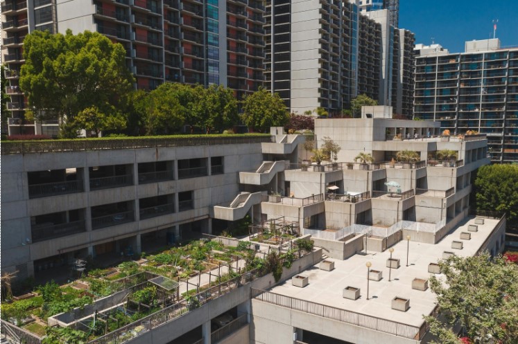 Red Antipajaros para huertos urbanos: protege tus cultivos sin dañar a las aves